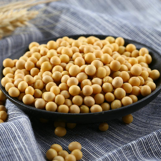 云南农家非转基因小黄豆3斤
