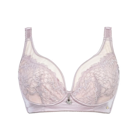 皇家丽美WJ1812-1记忆钛圈文胸网纱水晶杯超薄性感夏季透气凉爽内衣 商品图3