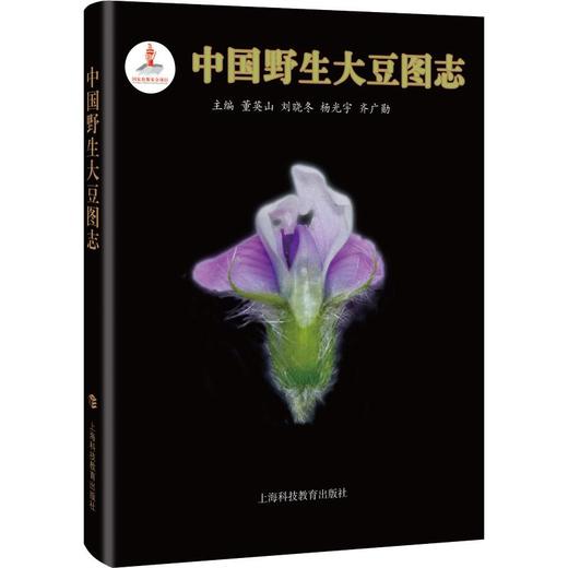 中国野生大豆图志 商品图0