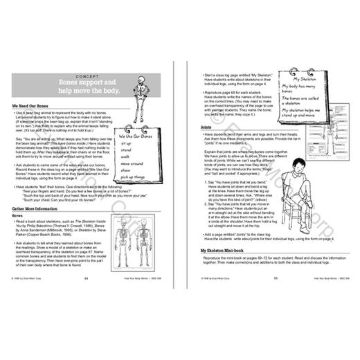 Evan-Moor Science Words For Kids Series 小小科学工坊系列  美国加州原版教辅 商品图4