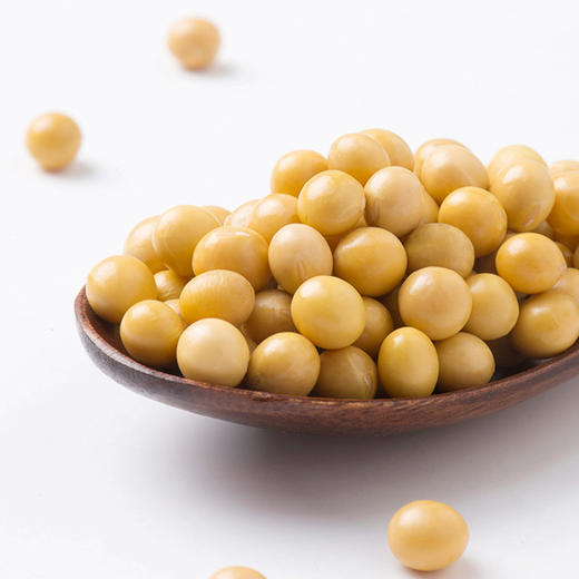 云南农家非转基因小黄豆 3斤 商品图7