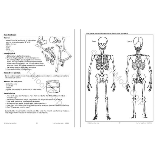 Evan-Moor Science Words For Kids Series 小小科学工坊系列  美国加州原版教辅 商品图5