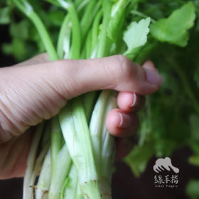 野生水芹 | 合作生产* Wild cress | Coproduction