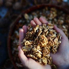 手工现砸 长城野岭老树  山核桃仁（生）