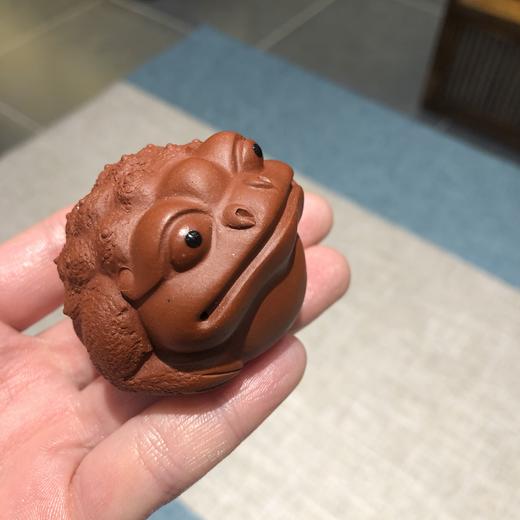 金蟾小茶宠 商品图0