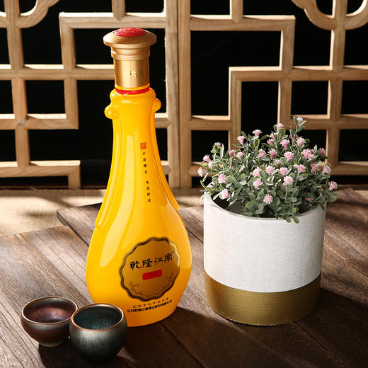 乾隆江南D9酒480ml  芝浓复合香型白酒 商品图3