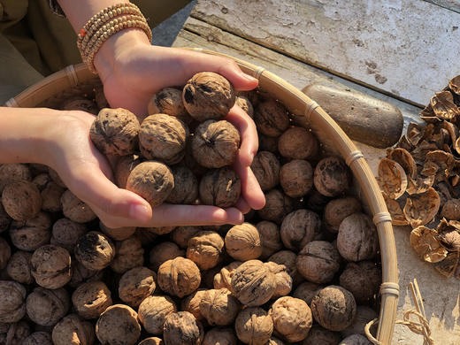 手工现砸 长城野岭老树  山核桃仁（生） 商品图6