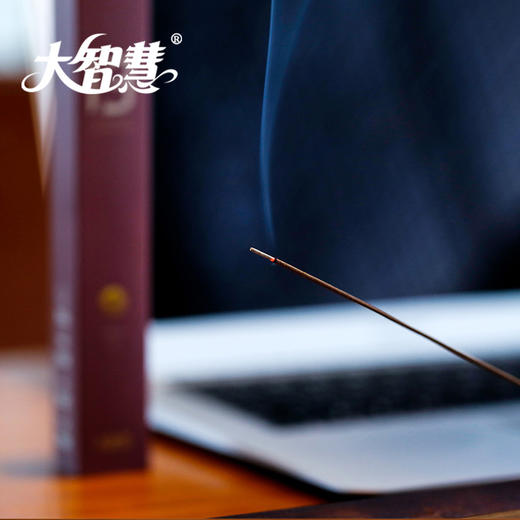 【大智慧 】13号印尼红土沉香  八星级 商品图3