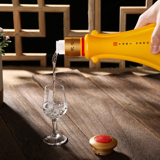 乾隆江南D9酒480ml  芝浓复合香型白酒 商品图4