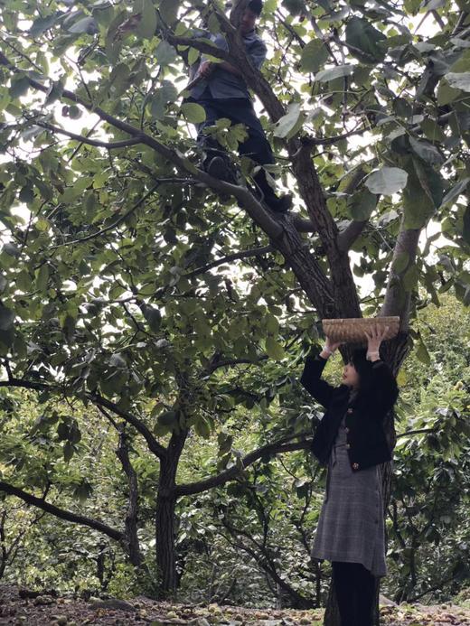 手工现砸 长城野岭老树  山核桃仁（生） 商品图2