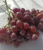 【抗疫助农 为民服务】三坪农场红提鲜葡萄7公斤特惠59.8元抢 商品缩略图1