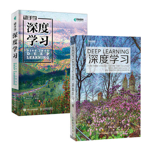 套装2册 深度学习入门经典：花书深度学习+li沐动手学深度学习 deeplearning教程图书AI人工智能基础 商品图0