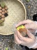 手工现砸 长城野岭老树  山核桃仁（生） 商品缩略图4
