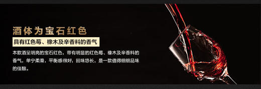 中粮名庄荟西勒麒麟紫标梅多克干红葡萄酒AOC级法国原瓶进口红酒 商品图4