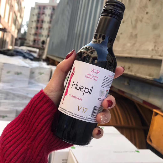 瓦帕长相思有机白葡萄酒  + 瓦帕佳美娜有机红葡萄酒   187.5ml*6瓶/盒   【亲朋相聚】 包邮 商品图3