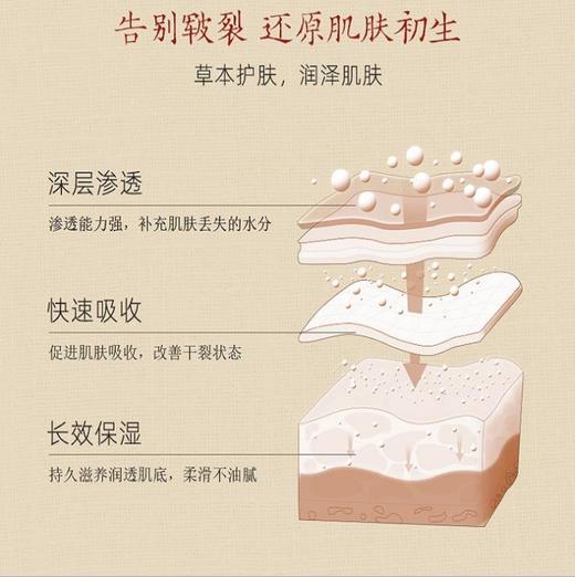 【滋润手足】仁和匠心手足滋润霜30g 商品图3