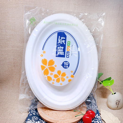 天和一次性纸碗纸盘系列 商品图4