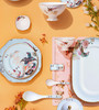 【百鸟朝凤】奥唯颐和园 碗碟套装家用乔迁礼物景德镇碗盘餐具 中国风百鸟朝凤 六人食30头/十人食60头 商品缩略图0