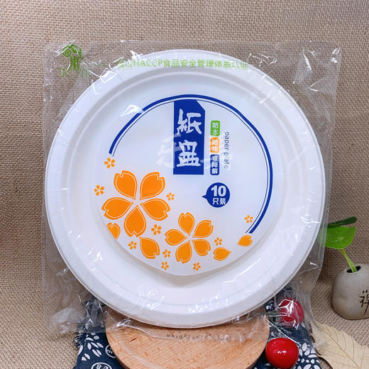 天和一次性纸碗纸盘系列 商品图2