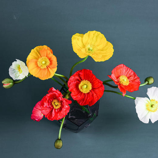 新品速递|虞美人，颜色随机，8支 商品图3