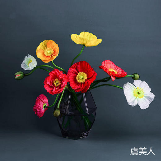 新品速递|虞美人，颜色随机，8支 商品图0