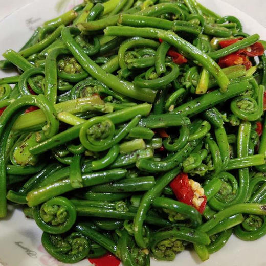 野生河蕨菜农户柏继才约400g份