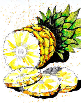 《美味的菠萝》【自动发货：下单后，点击手机短信中收到的链接，即可获取文件下载的链接；如有任何问题，可添加客服微信hm33268获得帮助】