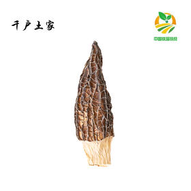 千户土家 宣恩 羊肚菌 50g