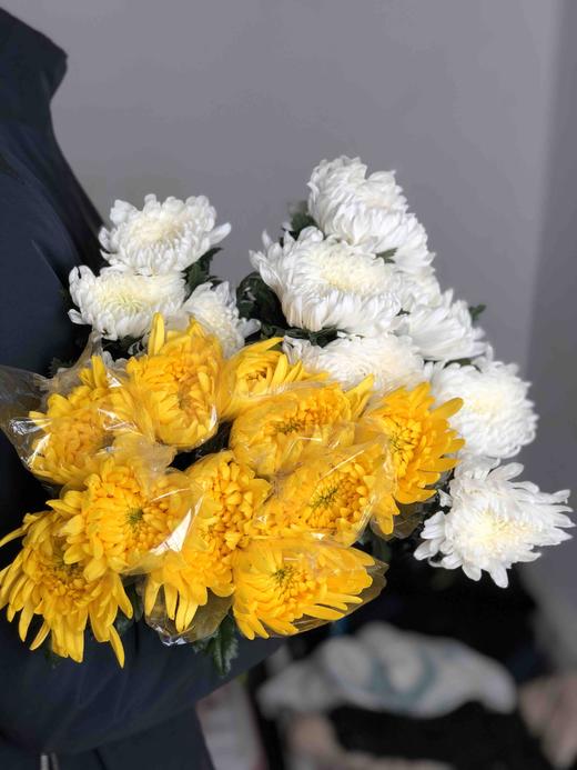 祭祀黄白菊