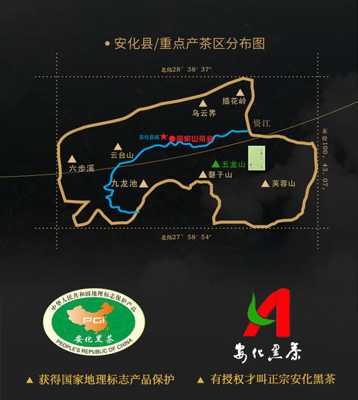 控制体重去除湿气 喝荒野湖南安化黑茶2018春茶 商品图6