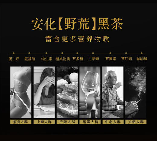 控制体重去除湿气 喝荒野湖南安化黑茶2018春茶 商品图9