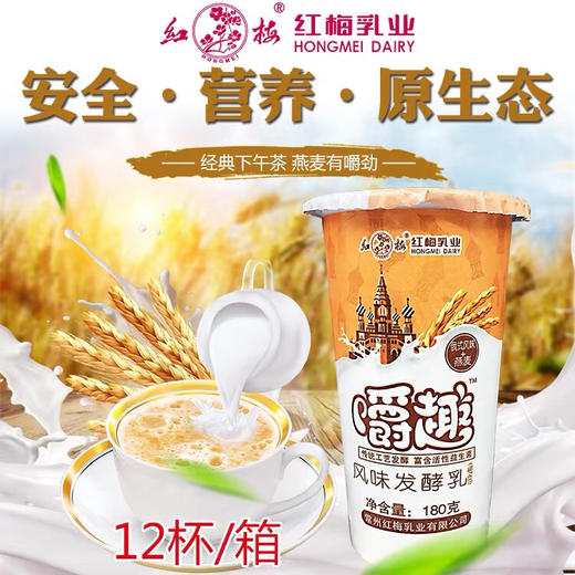 红梅乳业 俄式风味+燕麦风味发酵乳 180克/杯  16杯/箱 商品图2