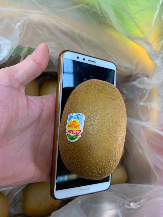 2025首批新西兰🇳🇿佳沛金果，宝宝每天一个，维生素满满的 商品图5