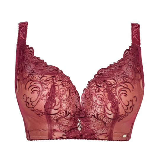 皇家丽美聚拢调整文胸收副乳无钢圈华丽刺绣美背四排扣商场同款内衣WW1837-3 商品图1