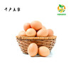 千户土家 农家散养土鸡蛋 30枚 商品缩略图0