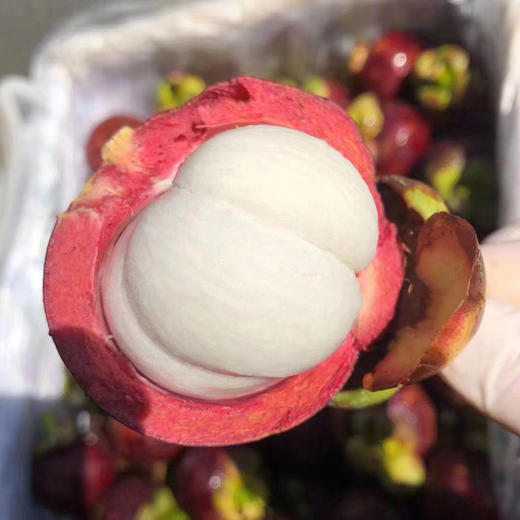 泰国空运4A山竹，5斤礼盒装一箱 商品图5