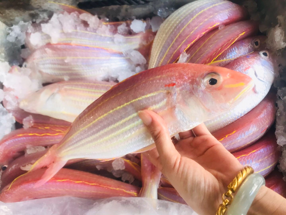 东山海鲜活鲜野生金线鱼蒜瓣肉质肉质鲜美无小杂刺非常适合宝宝老人