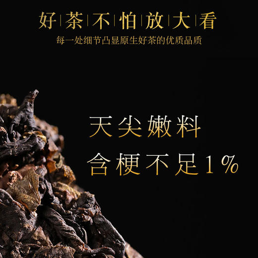 控制体重去除湿气 喝荒野湖南安化黑茶2018春茶 商品图8