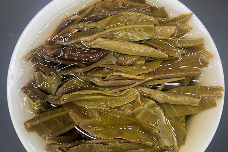 老班章 云南古树普洱茶生茶2020年春茶700年古树纯料