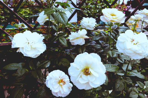 初夏批改 商品图0