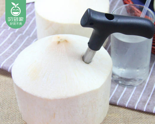 泰国香水奶椰/1个（700-850g） 商品图4