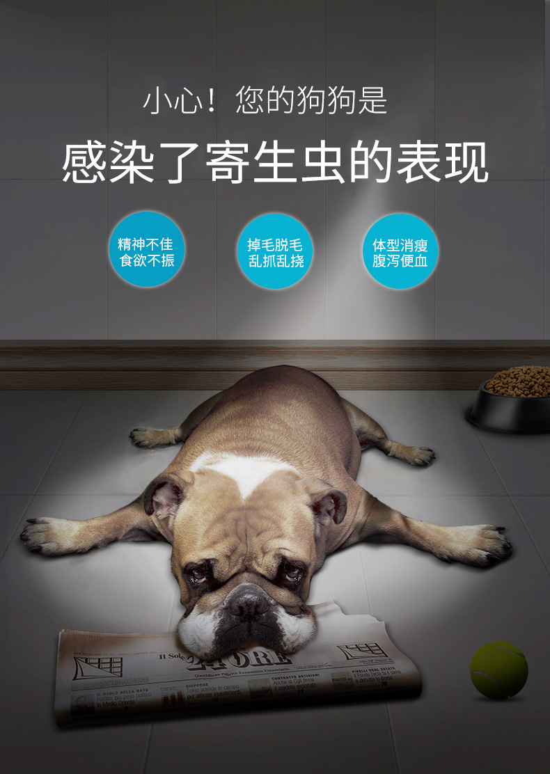 会员专属半价购金盾思达尔狗狗体内驱虫药幼犬成犬驱虫药杀虫宠物狗