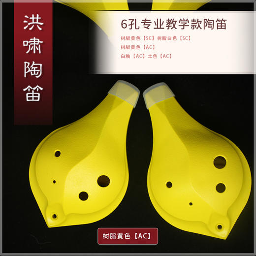 6孔陶笛 专业教学款 树脂【AC】 商品图1