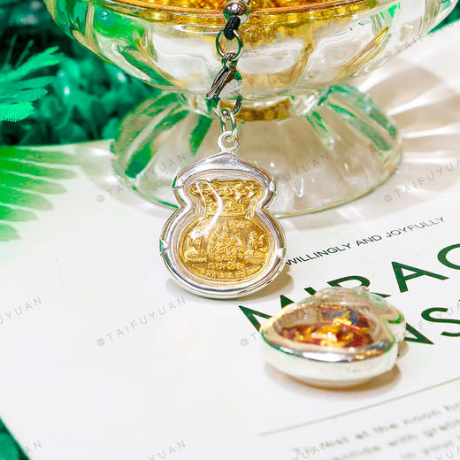 龙婆瑞金山银海钱袋子财库在身边收纳财运财路控制消费守住家底