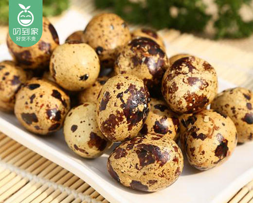 八市锅上一绝盐焗鹌鹑蛋/1盒（34-36个，共350g）生产日期：4月15日左右 商品图5