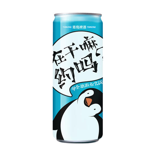 【社群专属活动】青岛啤酒经典（1903）330ml*24罐/箱（极地） 商品图1