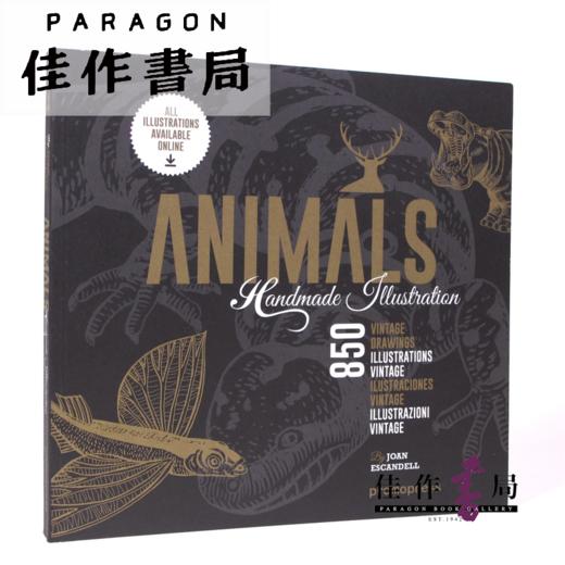 Animals: 850 Handmade Illustrations 商品图0