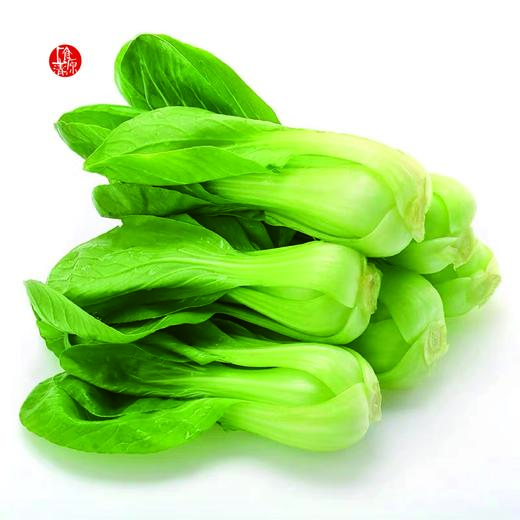 新鲜上海青500g
