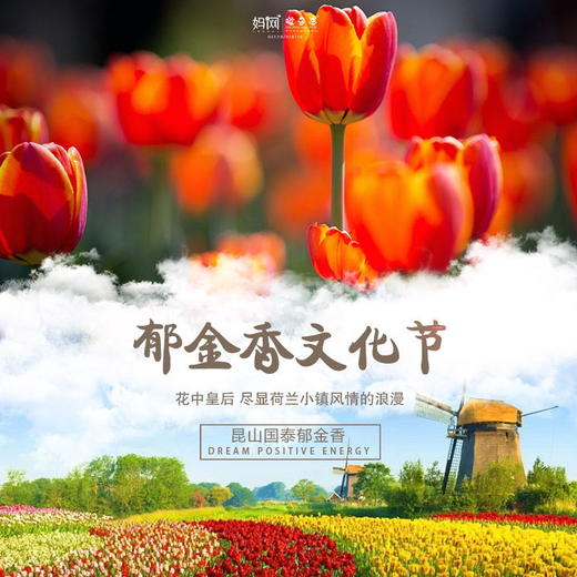 【门票】赏花！昆山国泰郁金香文化节  近300万株郁金香为您绽放春天的味道，尽显荷兰小镇风情的浪漫 来，倾听春天里郁金香一起绽放的声音~ 商品图0