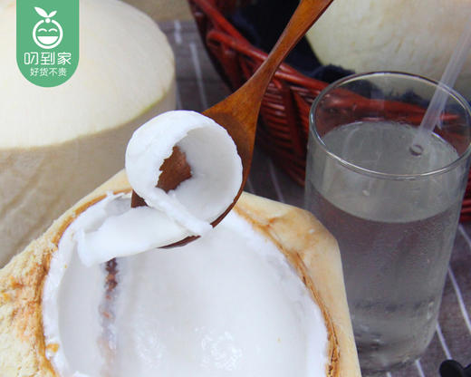泰国香水奶椰/1个（700-850g） 商品图3